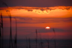 IMG_6133-2
