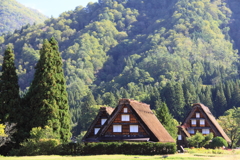 DPP_0087