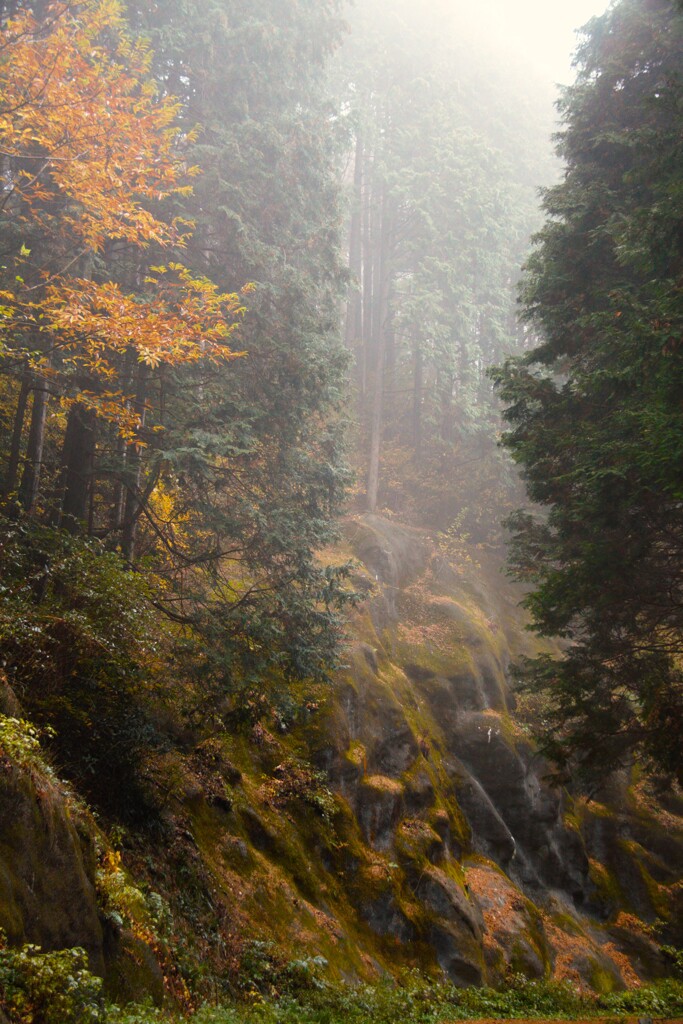 山水