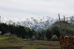 田