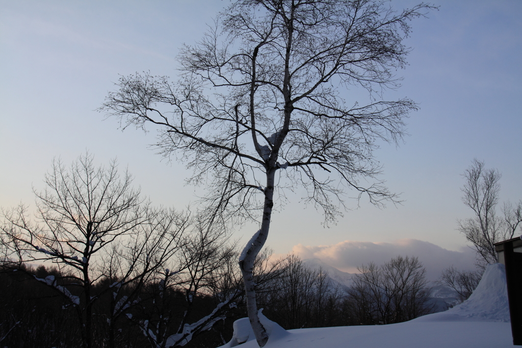 夕間暮れ2