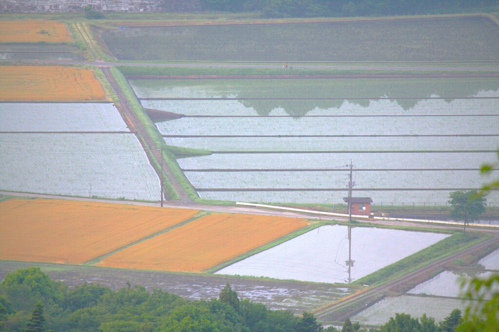 田園