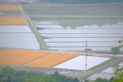 田園