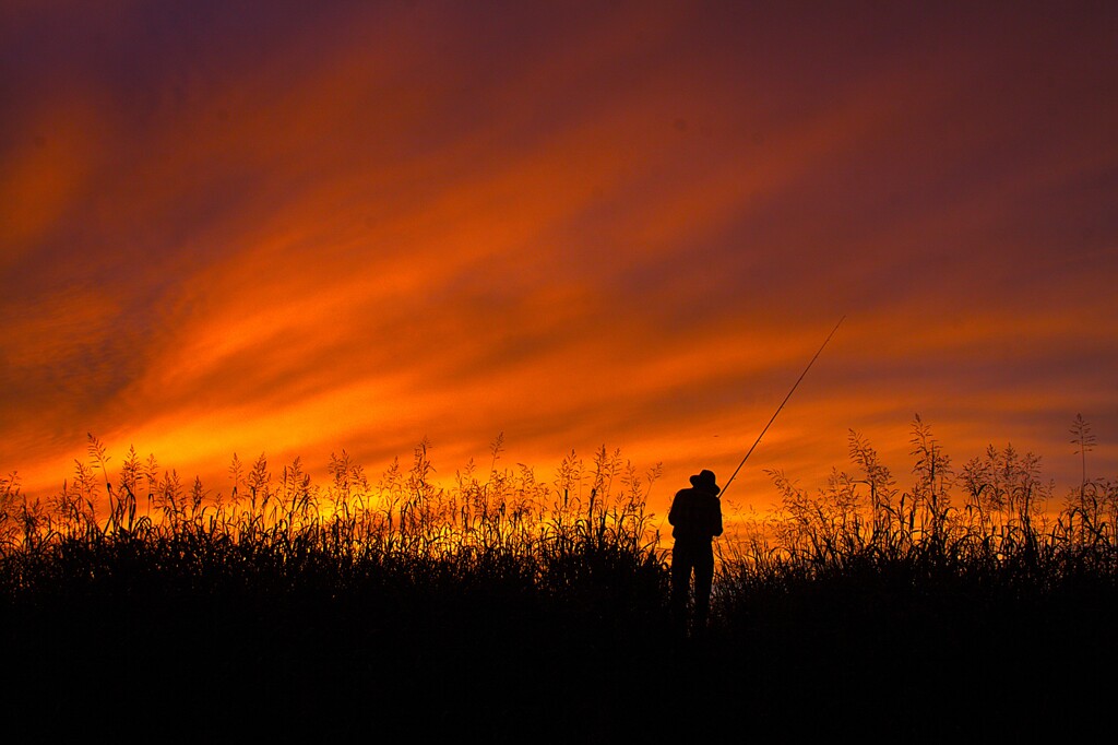 黄昏に糸を垂らす