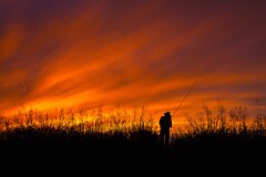 黄昏に糸を垂らす