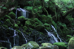 ものの化の森