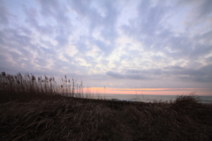 夕日2