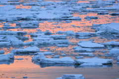流氷