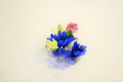 泡花2