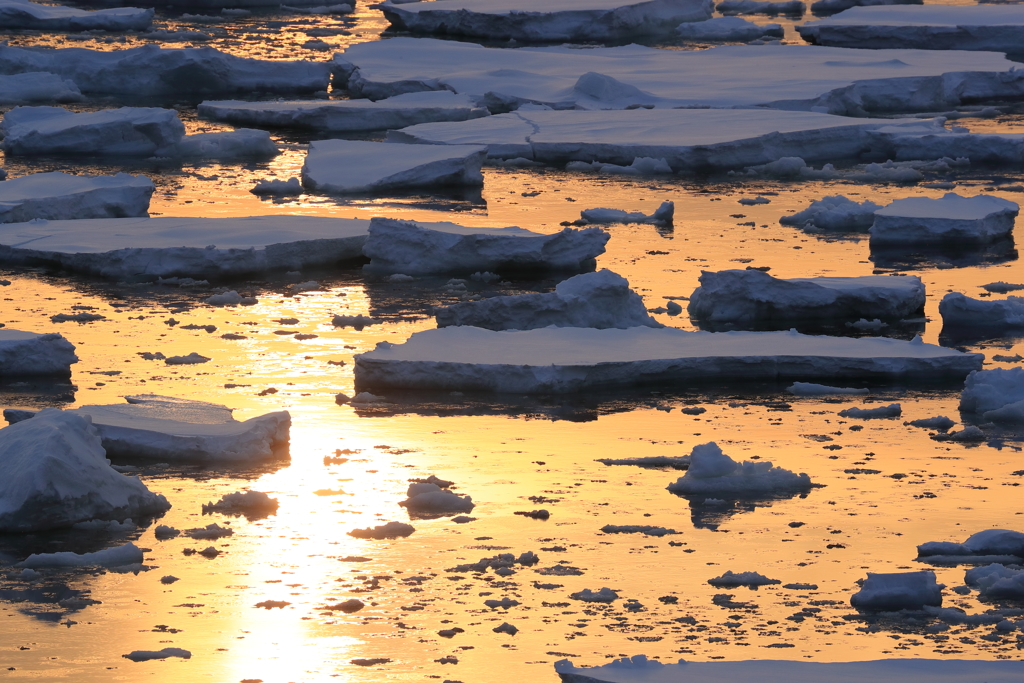斜里の流氷