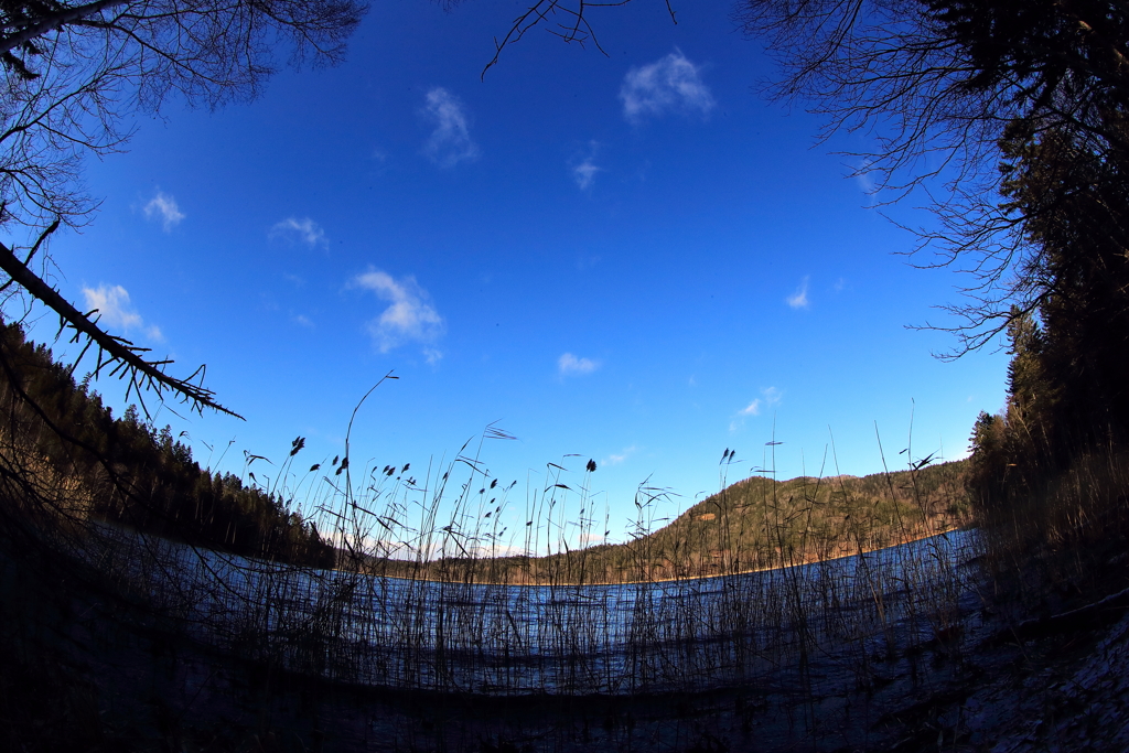 今年最後のチミケップ