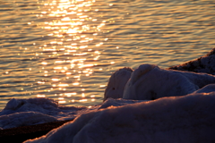 オホーックのいま