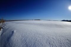 雪原