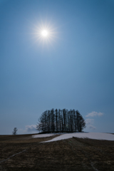 雪解けのマイルドセブンの丘