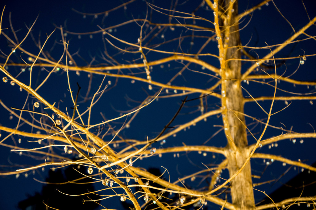 クリスタルツリー