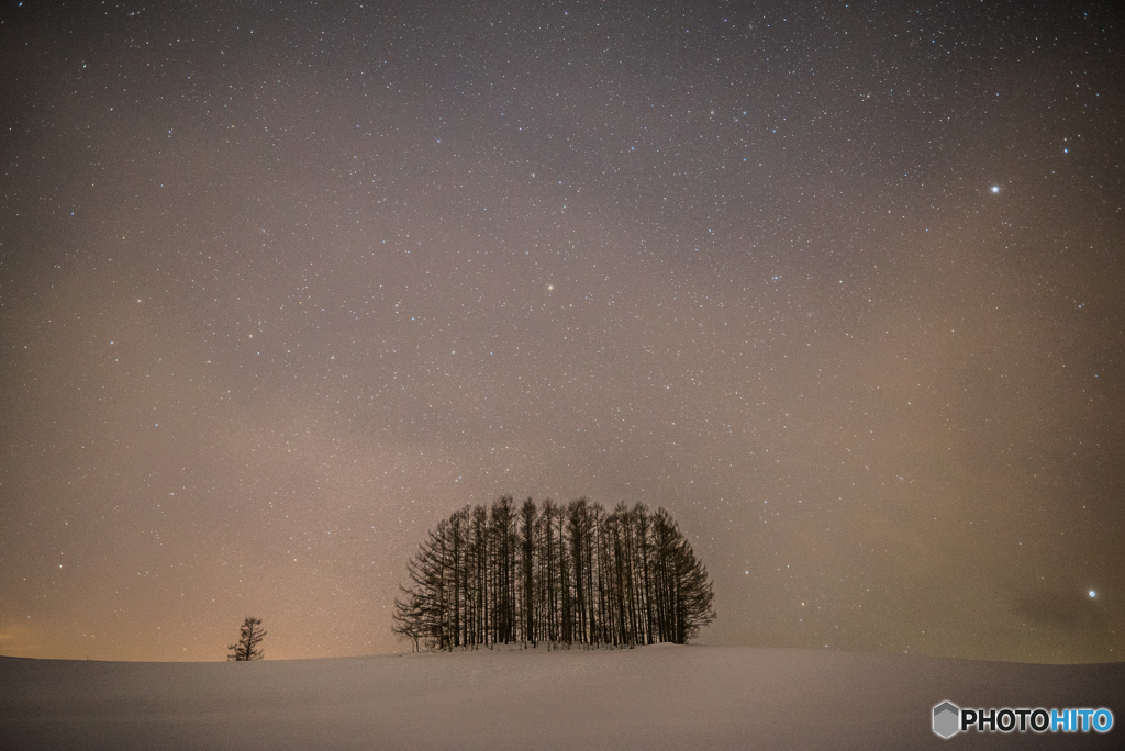 マイルドセブンの丘