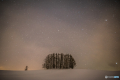 マイルドセブンの丘