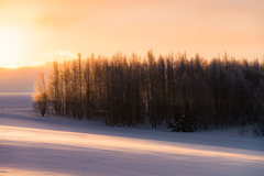 朝陽に照らされ
