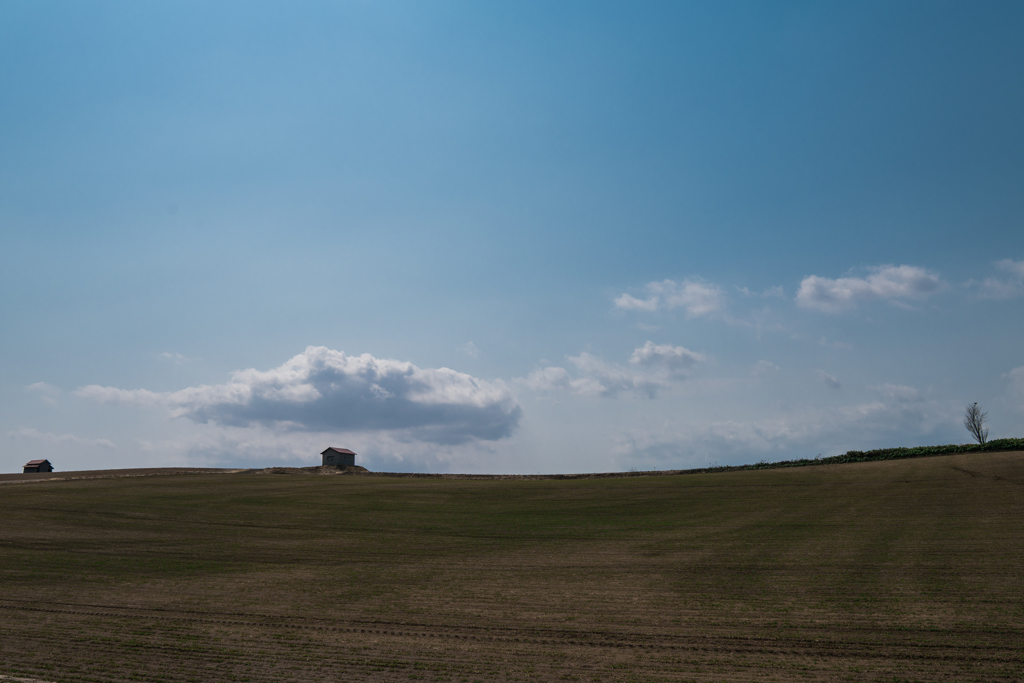 稜線に立つ小屋