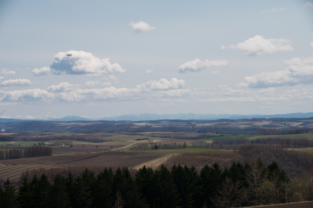のどかな丘から