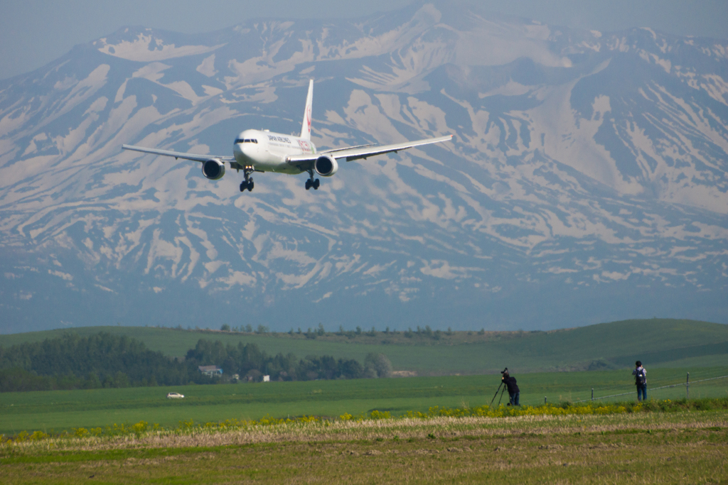 見上げてごらん