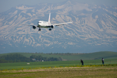 見上げてごらん