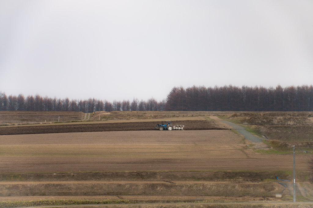 雪解けとともに