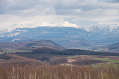 北海道の大地