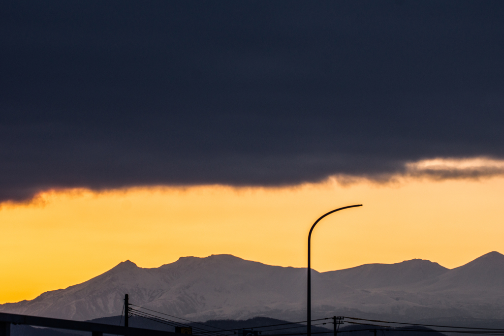 黄色に染まる山