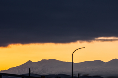黄色に染まる山
