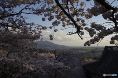 薄紅の筑波山