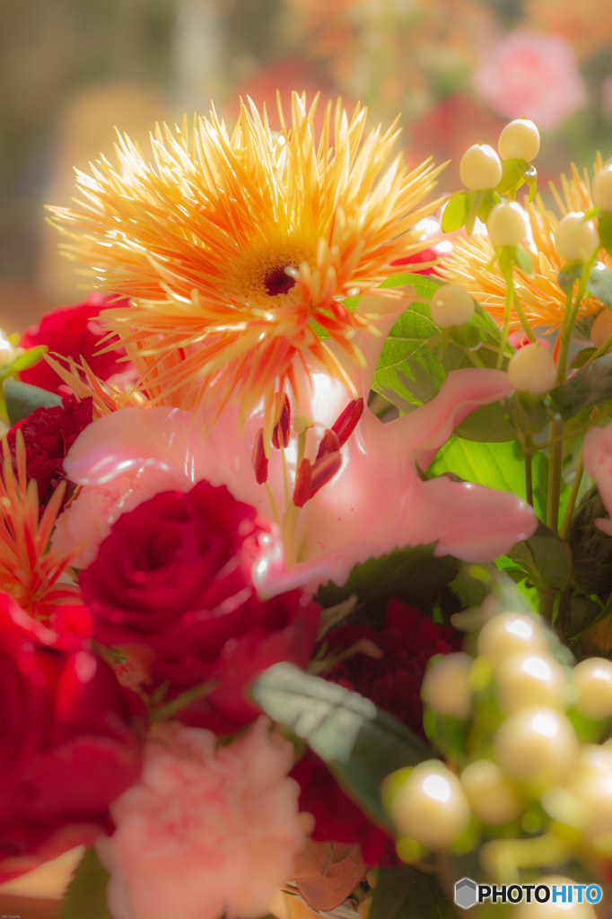 Ein Blumenstrauß Rosen Sie.2