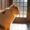 うとうと・・