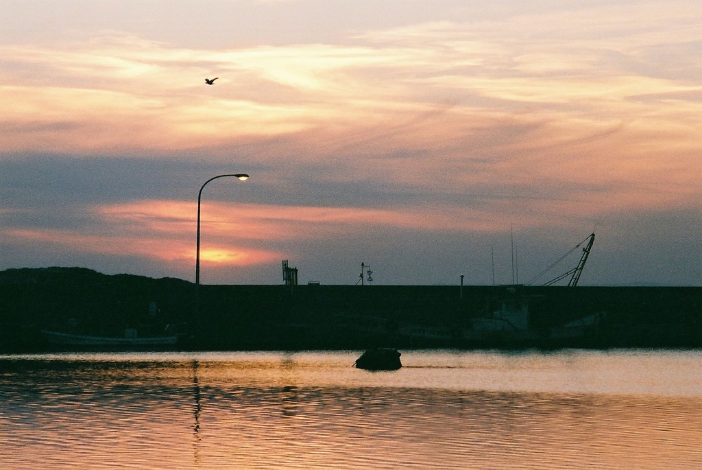 夕まずめ