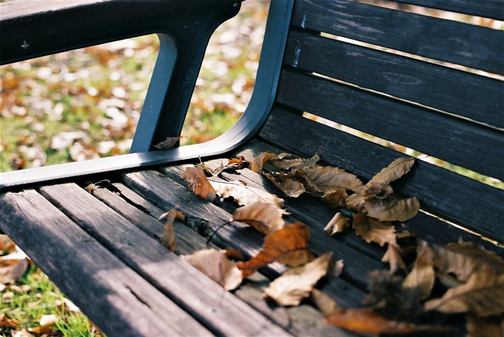 bench1