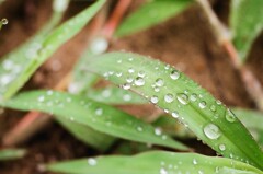 雨の日に