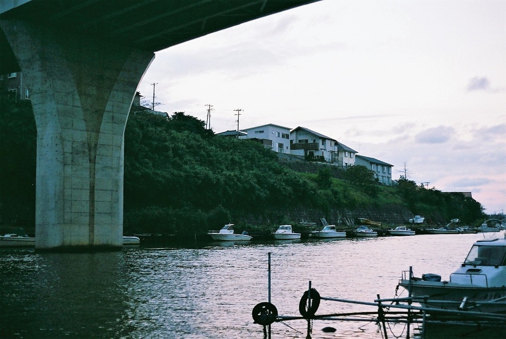 河口の風景