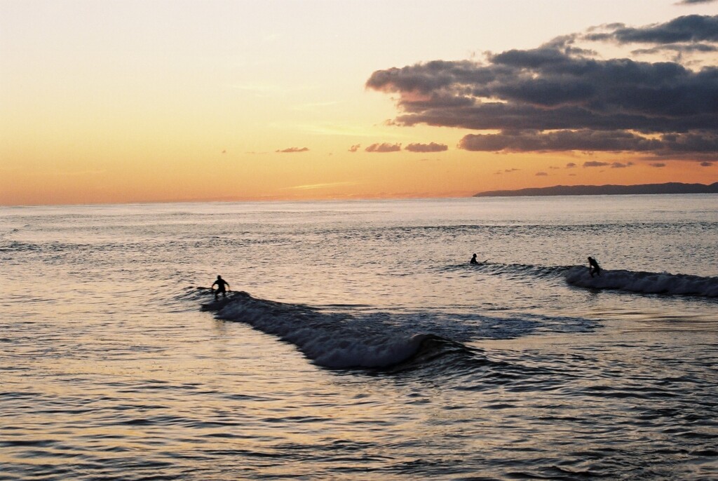 surfing