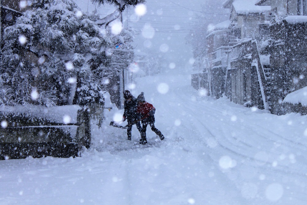 雪やこんこん