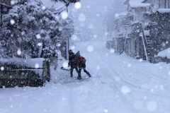 雪やこんこん