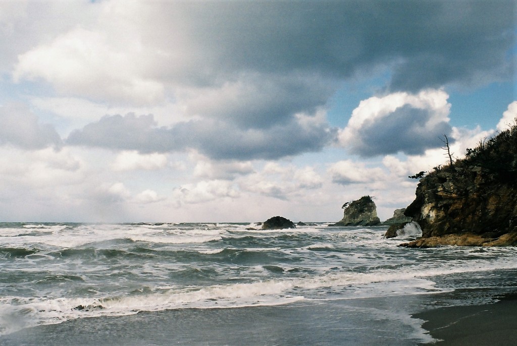 冬色の海