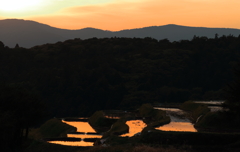 夕暮れの棚田