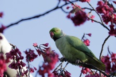 20180312064950__MG_3538