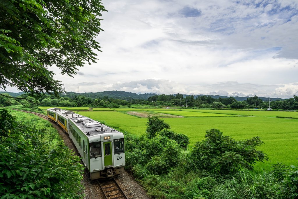 田園を行くキハ１１０系