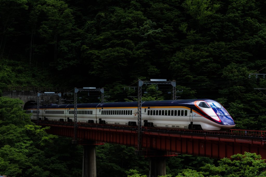 トンネルから突然飛び出して来るつばさ