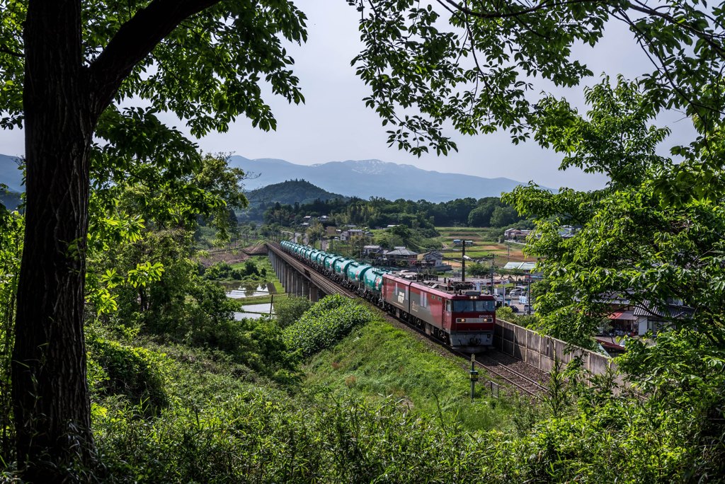 グリーンの額縁で…