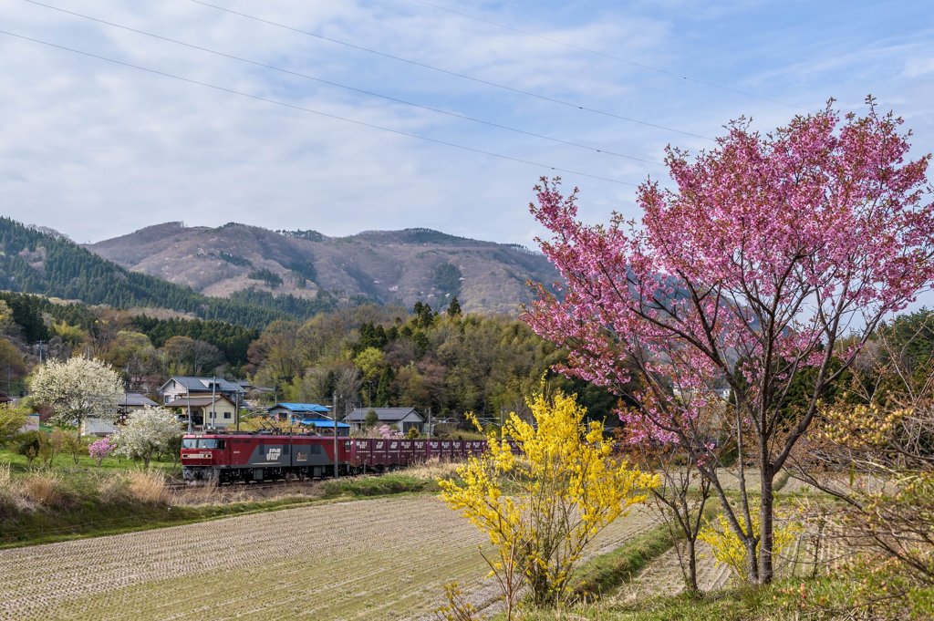 里山の春