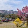 里山の春
