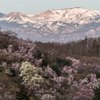 桃源郷