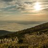 雲海を照らす朝日